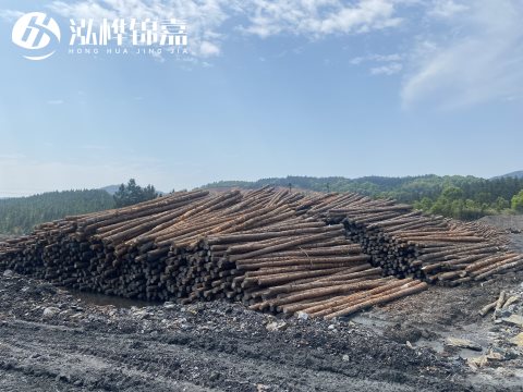 河道打樁為什么選擇松木樁來處理軟地基？-松木樁施工使用范圍