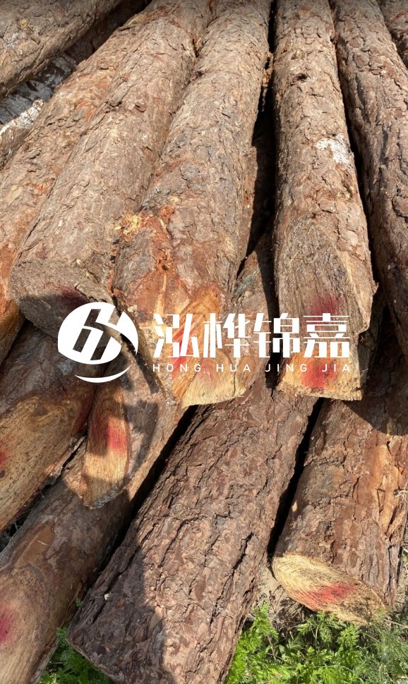 <strong>松木樁和杉木樁的用途區(qū)別？哪個更適合打樁用？</strong>