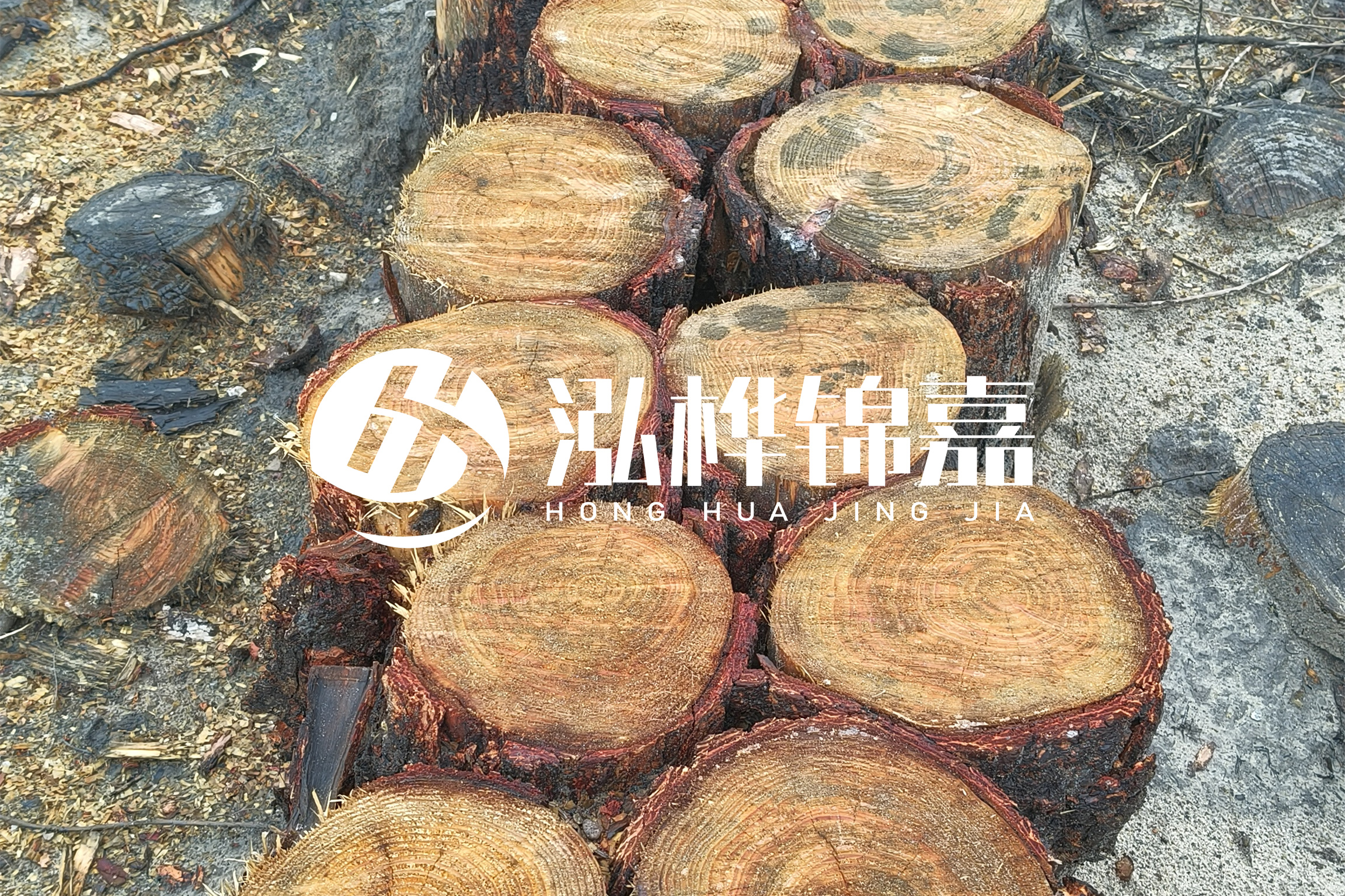 浙江臺(tái)州有清淤的公司嗎？浙江臺(tái)州有清淤施工隊(duì)嗎？