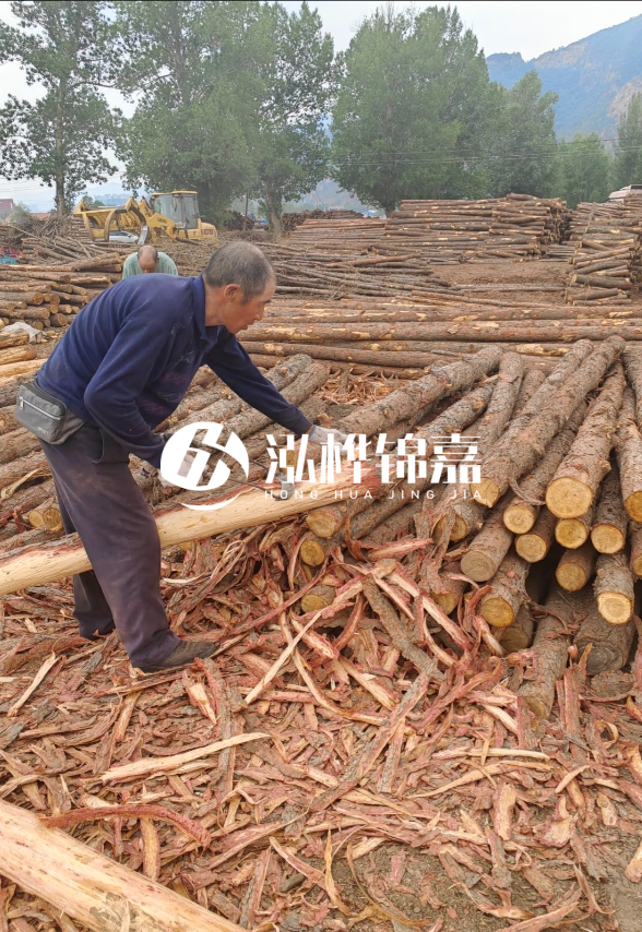 東營河道清淤專業(yè)施工隊-不同型號挖機清淤能力對比？