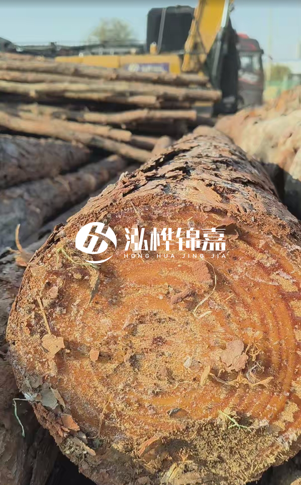 杉木樁價(jià)格多少錢一方-3米直徑14公分杉木樁價(jià)格？