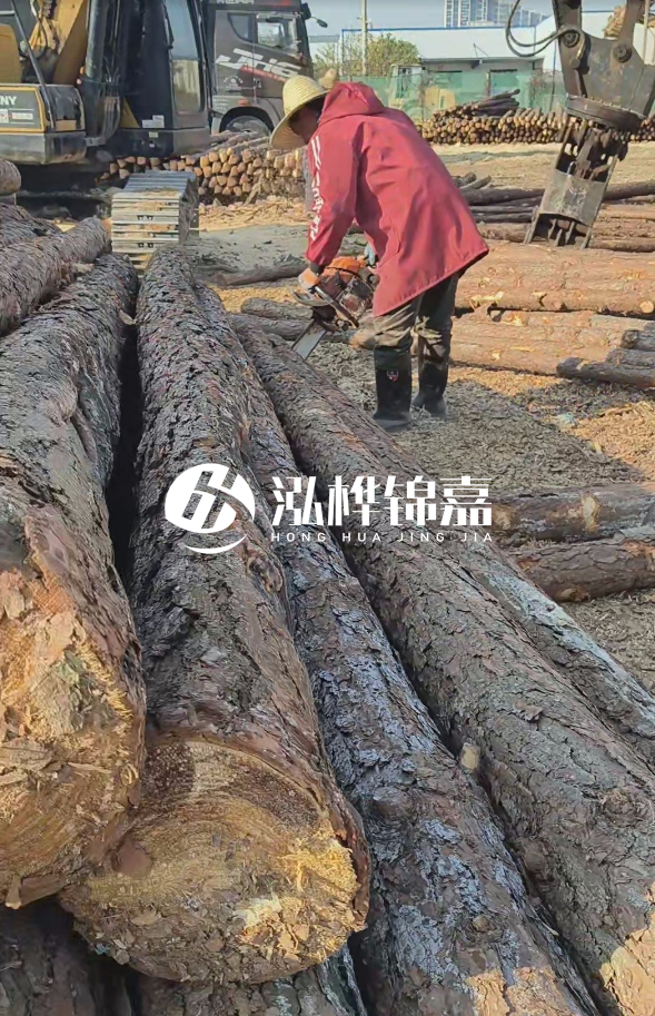 長沙打樁木批發(fā)廠家在哪里？聯(lián)系方式是什么？