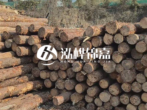 落葉松木材的主要產(chǎn)地在哪里？為什么比其他松木更耐腐蝕？