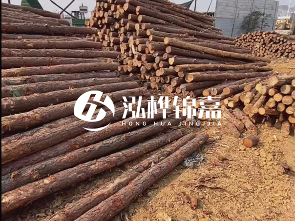 河道木樁施工遇到淤泥怎么辦？打多深才能防沖刷？