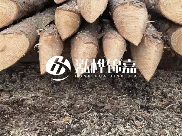打樁木樁與鋼樁相比有哪些優(yōu)缺點？如何進行后期維護？