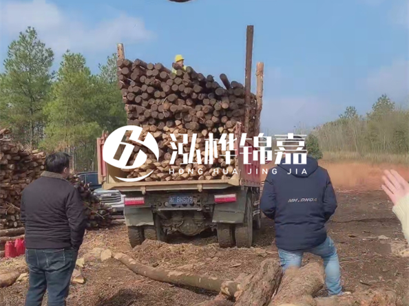 松木樁價格是按米算還是按根算？6米松木樁批發(fā)價每根多少錢？