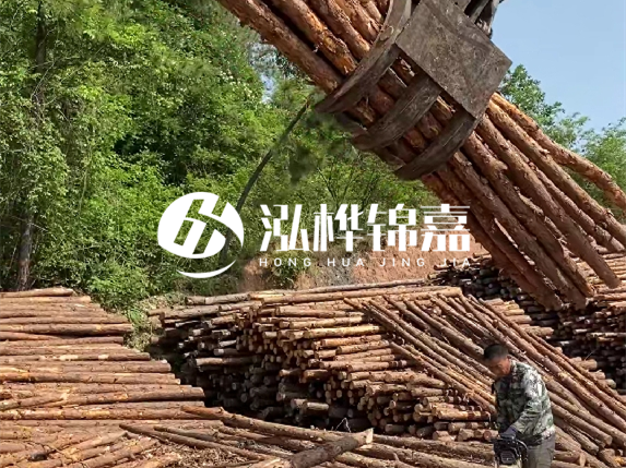 哪里能買到優(yōu)質(zhì) 3 米松木樁？長沙有松木樁批發(fā)工廠嗎？