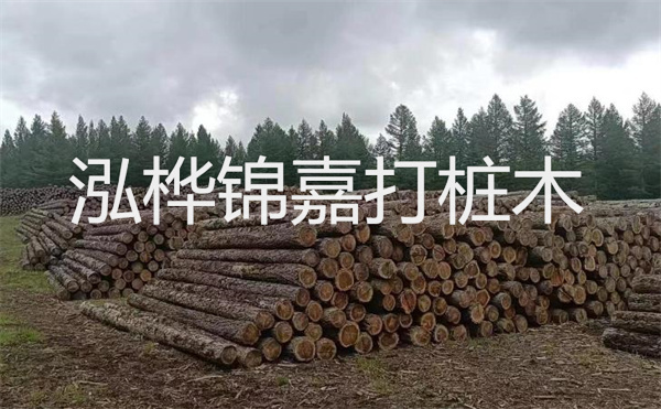 選擇紅磚護(hù)坡，打造獨(dú)特的美麗景觀