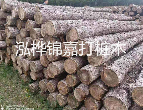 高效修補(bǔ)，保駕護(hù)航！水泥路面高強(qiáng)度修補(bǔ)料為您解決煩惱！