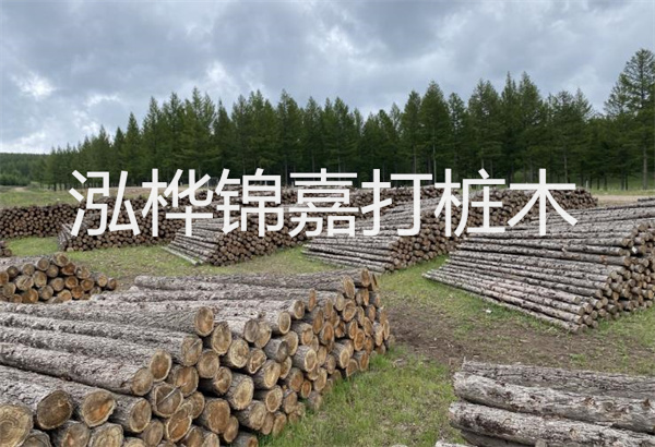 預(yù)制松木樁施工工藝：優(yōu)質(zhì)材料，高效快速，堅固耐用