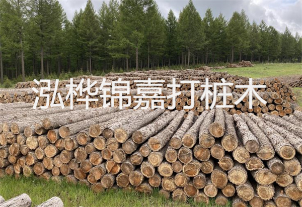 松木樁能施工嗎？探究視頻揭秘真相！