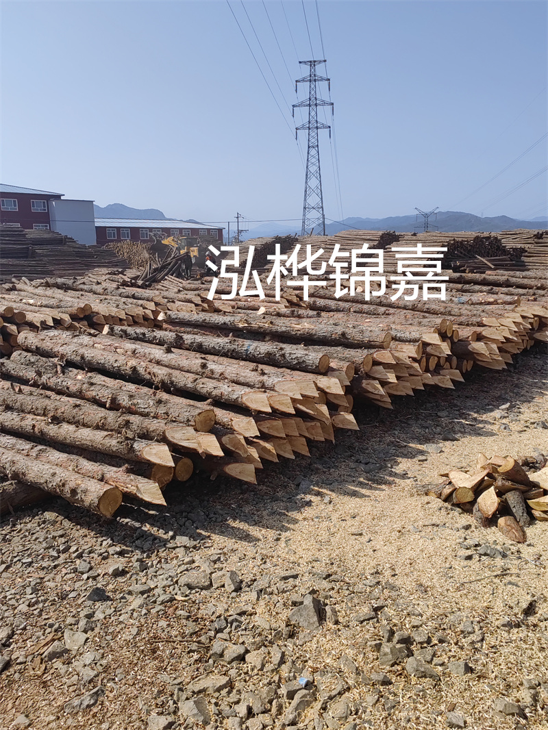 深入了解松木樁基礎(chǔ)施工單價(jià)，助力工程建設(shè)順利進(jìn)行！