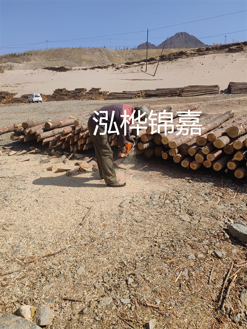 松木樁駁岸施工，打造水上風(fēng)景線