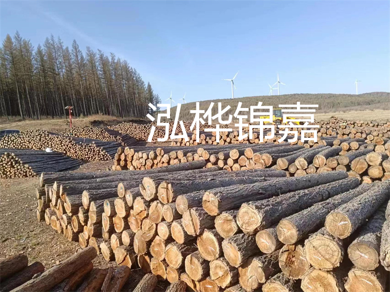 用路基松木樁施工方案提升工程質(zhì)量描述：了解路基松木樁施工方案的重要性，提高工程質(zhì)量關(guān)鍵詞：路基松木樁，施工方案，工程質(zhì)量