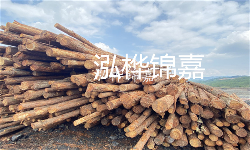 濮陽松木樁，卓越品質(zhì)，安全可靠