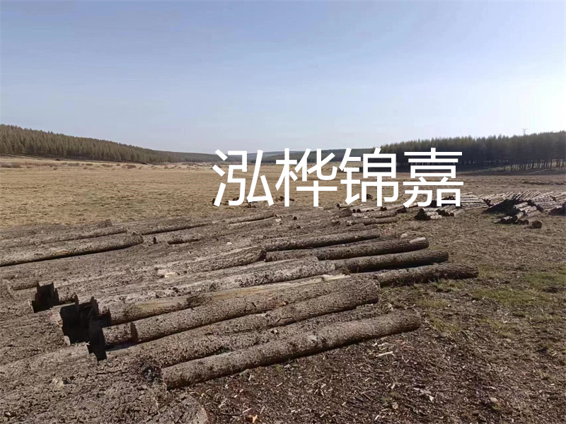 鄂州松木樁哪里好？推薦泓樺錦嘉松木樁業(yè)！